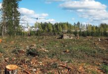 Ein Krieg gegen Wald und Kultur