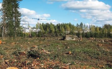 Ein Krieg gegen Wald und Kultur