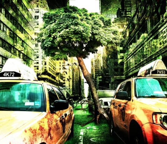 Der einzige Weg aus der Krise | Video-Podcast | Krisenvorsorge