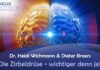 Die Zirbeldrüse – wichtiger denn je! – Dr. Heidi Wichmann & Dieter Broers
