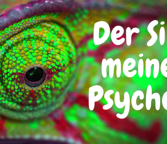 Psychose Thema: Warum meine Psychose einen Sinn hat und wie meine Psychose mir hilft