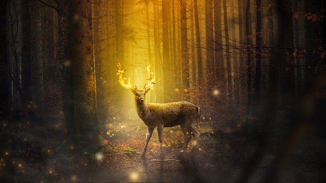 Cernunnos und die Taktik der Umkehrung