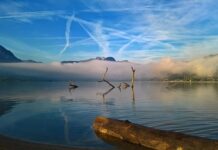 „Sie schmieren wieder unseren Himmel voll“