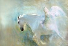 „Retter auf dem weißen Ross“