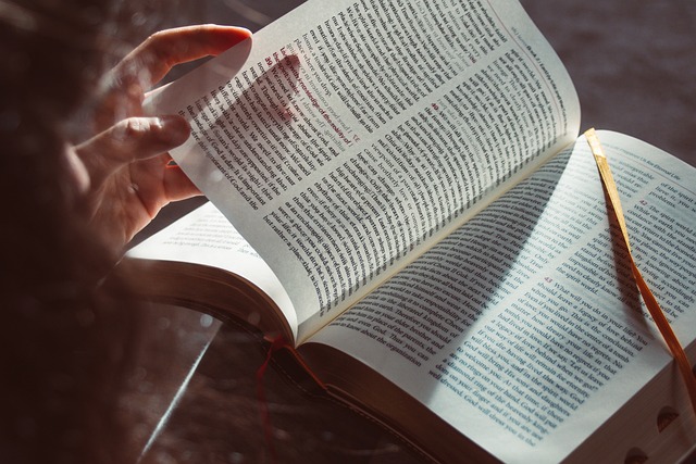 Herren über das Leid dieser Welt?