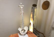 Geistige Wirbelsäulenaufrichtung