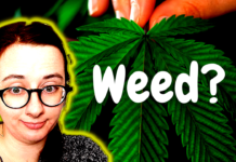 Mein Cannabis Bad Trip: ich reflektiere und erzähle…