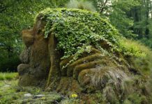 Wie und warum Goethe zum Pantheisten wurde! Eine grundlegend andere Betrachtung der Welt