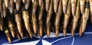 NATO-Geheimarmeen und Operation Gladio – Dr. Daniele Ganser