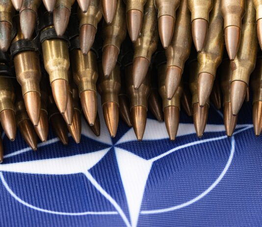 NATO-Geheimarmeen und Operation Gladio – Dr. Daniele Ganser