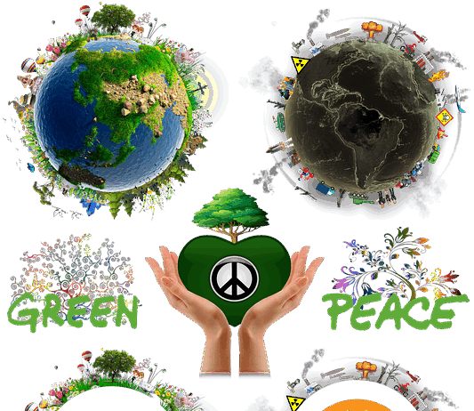 Greenpeace Aktivistin wird mit dem Klimaschwindel konfrontiert