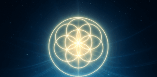 Thrive – Gedeihen | Ist es möglich, dem Elend auf dieser Erde ein Ende zu setzen?