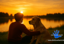 Tiere als Spiegel – Wenn wir uns in ihnen wiederfinden