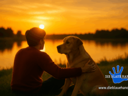 Tiere als Spiegel – Wenn wir uns in ihnen wiederfinden