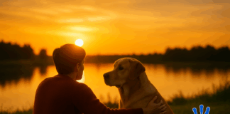 Tiere als Spiegel – Wenn wir uns in ihnen wiederfinden