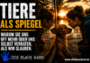 Tiere als Spiegel – Warum sie uns oft mehr über uns selbst verraten, als wir glauben